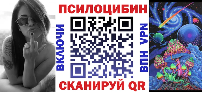 купить закладку  Сыктывкар  Псилоцибиновые грибы Psilocybine cubensis 