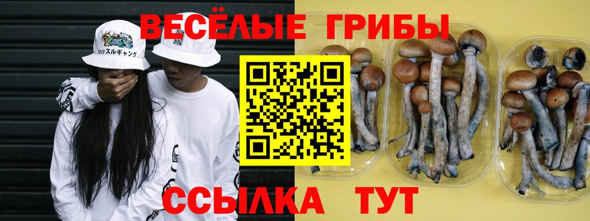 Псилоцибиновые грибы ЛСД  Галлюциногенные грибы мухоморы  что такое   Вход с VPN  Сыктывкар 